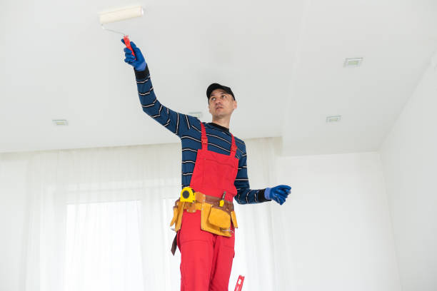 Best Drywall Removal and Disposal  in Yreka, CA